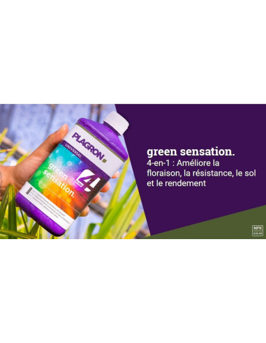 Green Sensation 10l - Plagron