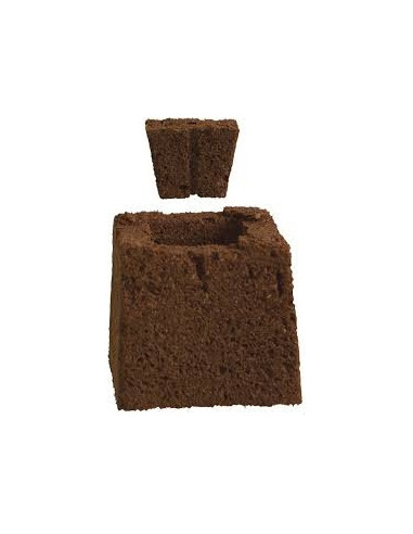 Pack Propagation Expert