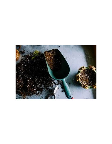 Plagron Perlite 10ltr