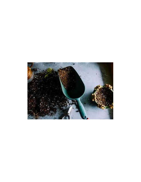 Plagron Perlite 10ltr