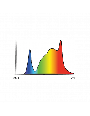 Cosmorrow Led 20w 24V L50Cm Floraison...