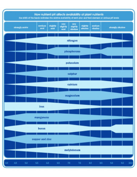 Bluelab Pen Testeur pH