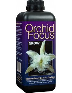 Orchid Focus Engrais Orchidées Croissance 1ltr 2