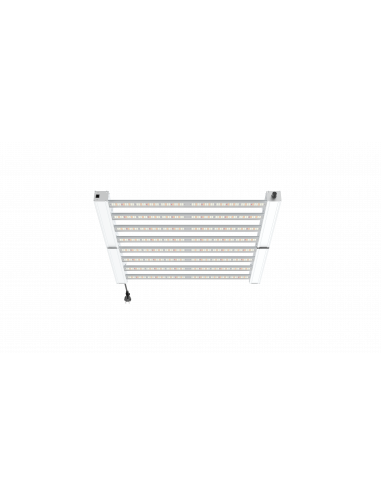 Hortimol MLED MH320A FSS 2.7µmol/J