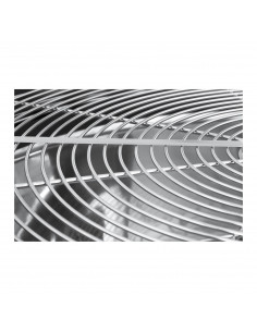 Dutch Master 60 cm manuel Trimmer 2