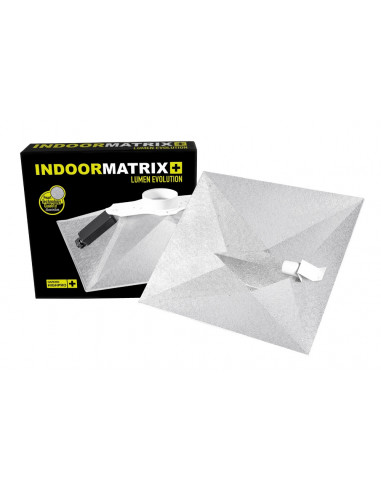 Matrix Lumen Evolution