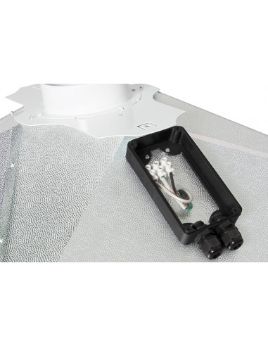 Matrix Lumen Evolution