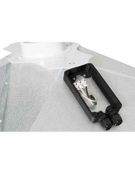 Matrix Lumen Evolution