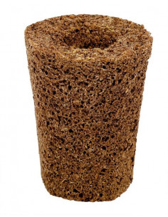 Eazy Plug CT104C (spécial graine) 2