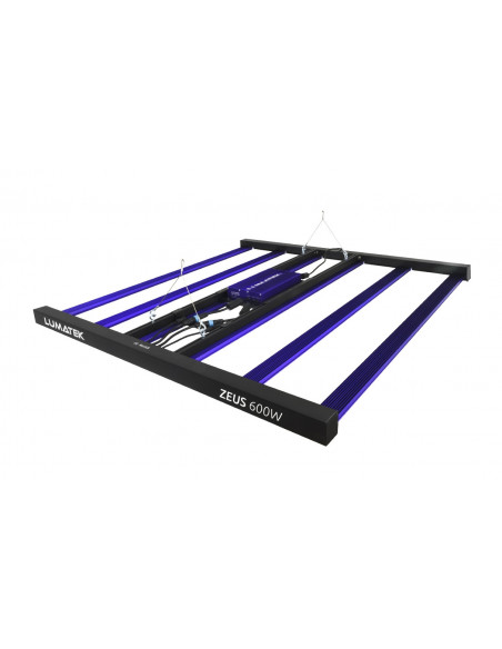 Kit LED Intense 150x150cm