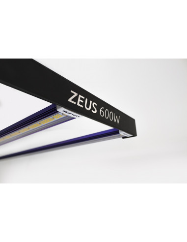 Kit LED Intense 150x150cm