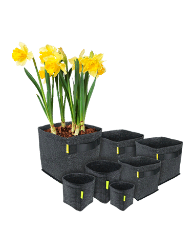 PROPOT 1.5l (10x10x21cm) - Garden HighPro