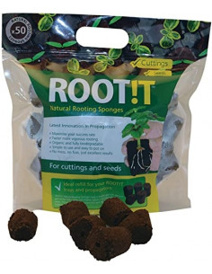 Support de Bouturage/Germination - 50 éponges - ROOT!T