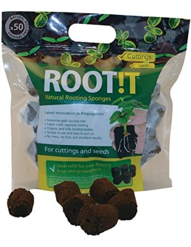 Support de Bouturage/Germination - 50 éponges - ROOT!T