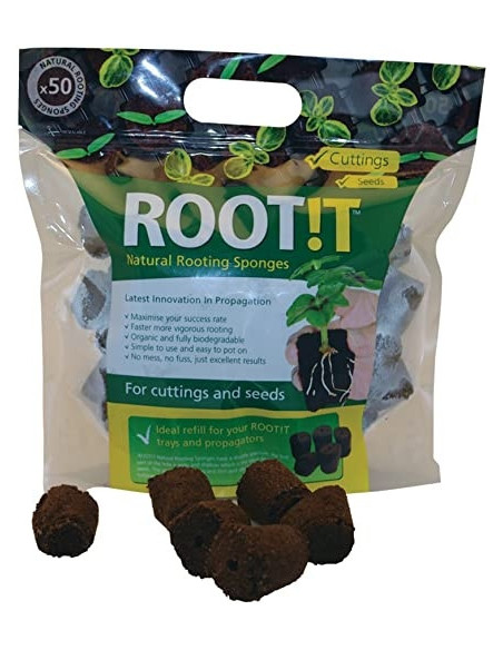 Support de Bouturage/Germination - 50 éponges - ROOT!T