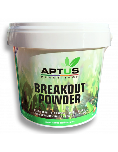 Breakout Powder 1Kg - Aptus