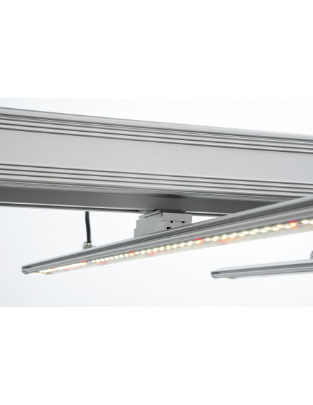 Hortimol MXH4 Led 330W FSM+ 2.5 µmol/J