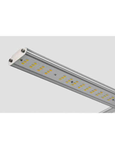 Hortimol MXH4 Led 330W FSM+ 2.5 µmol/J