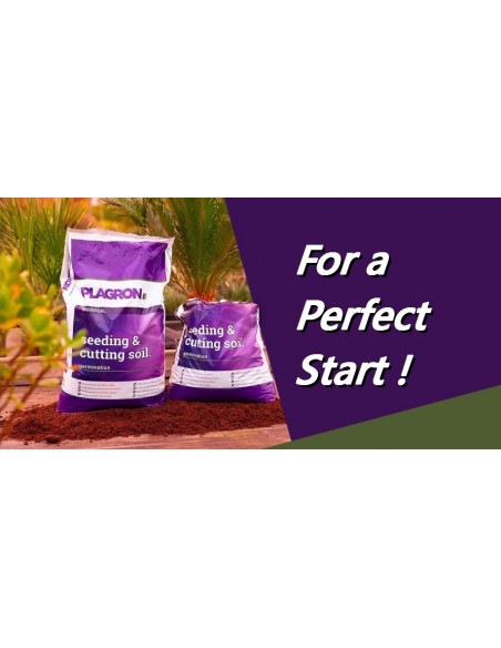 Seedling and cutting soil 25l - Plagron
