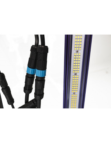 Lumatek Zeus 600W 2.6