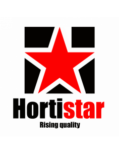 Ventilateur Mural 40cm Oscillant 50W - Hortistar