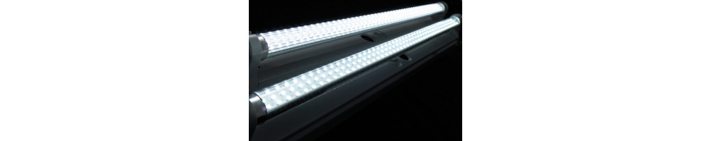 LED Grow lights