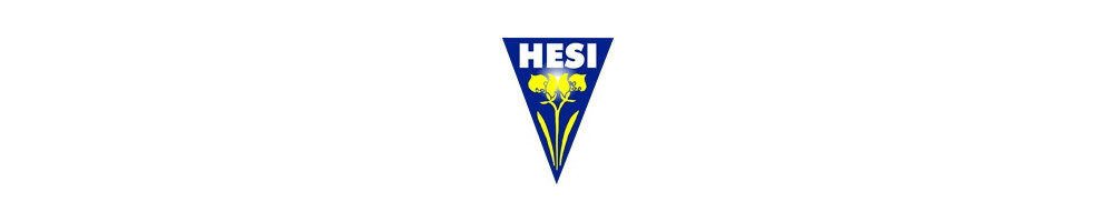 Hesi