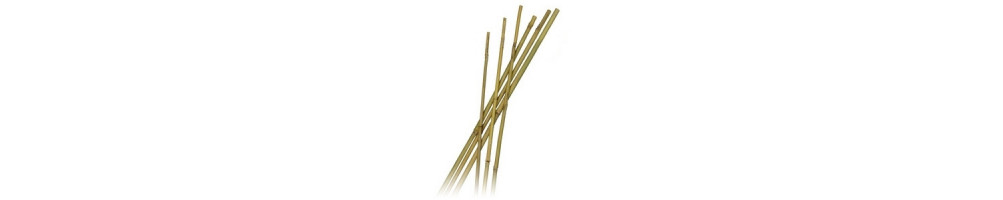 Bamboo Cane / Support