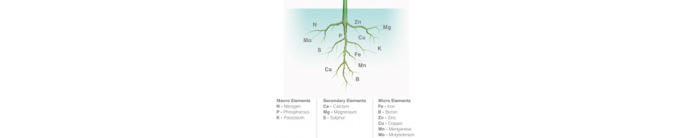 Mineral nutrients